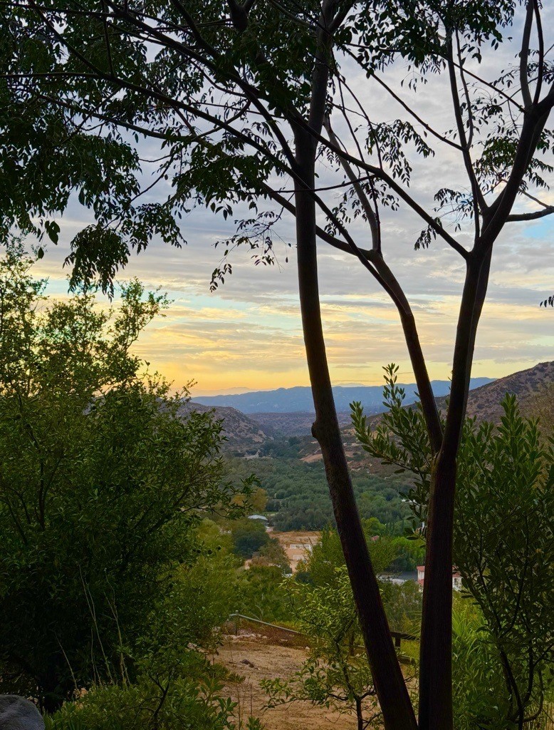 28151 Modjeska Grade Road, Modjeska Canyon CA 92676 - photo 64