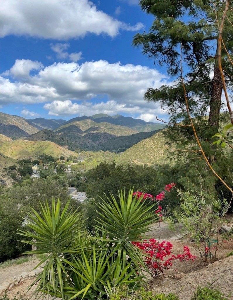 28151 Modjeska Grade Road, Modjeska Canyon CA 92676 - photo 65