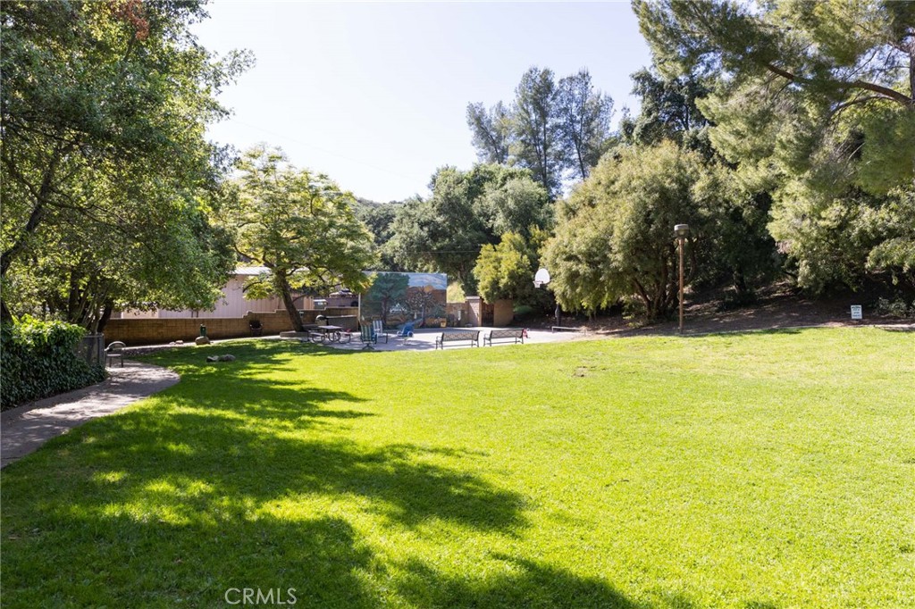 28151 Modjeska Grade Road, Modjeska Canyon CA 92676 - photo 73