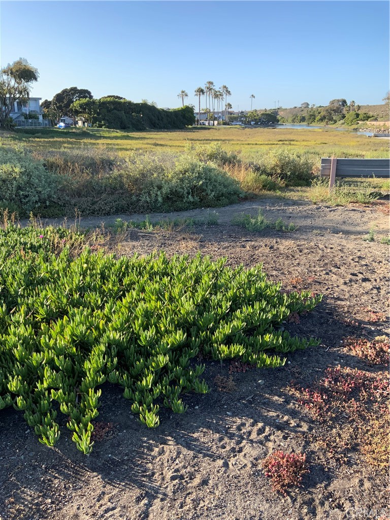 0 Newport, Newport Beach CA 92663 - photo 5