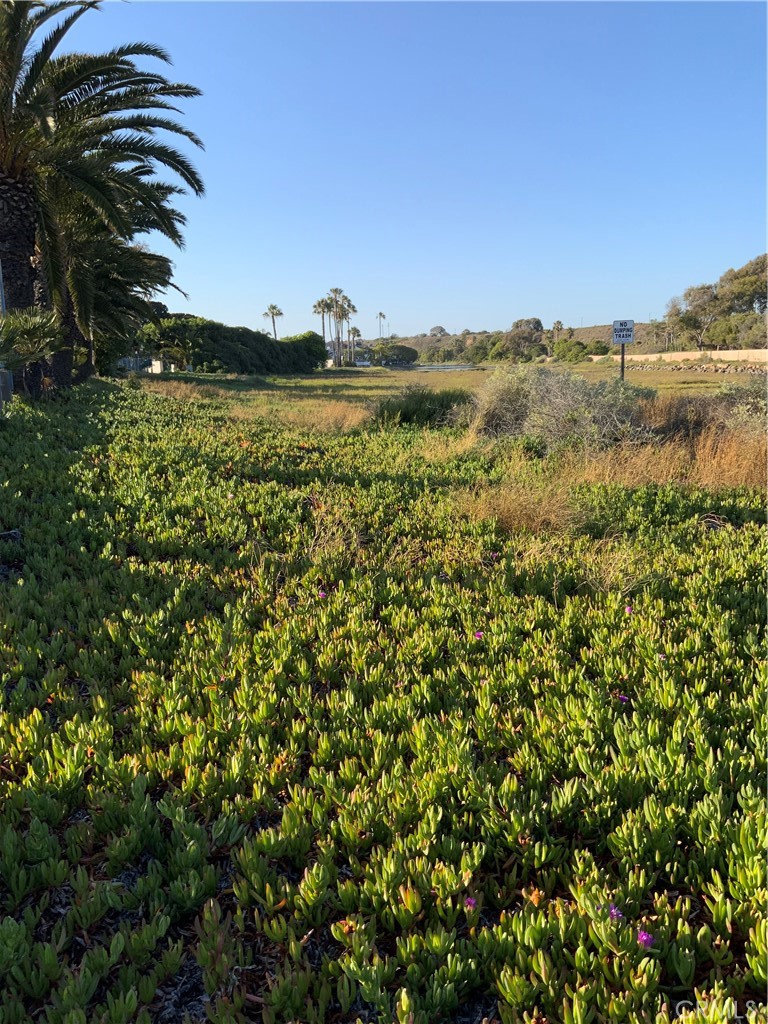 0 Newport, Newport Beach CA 92663 - photo 7