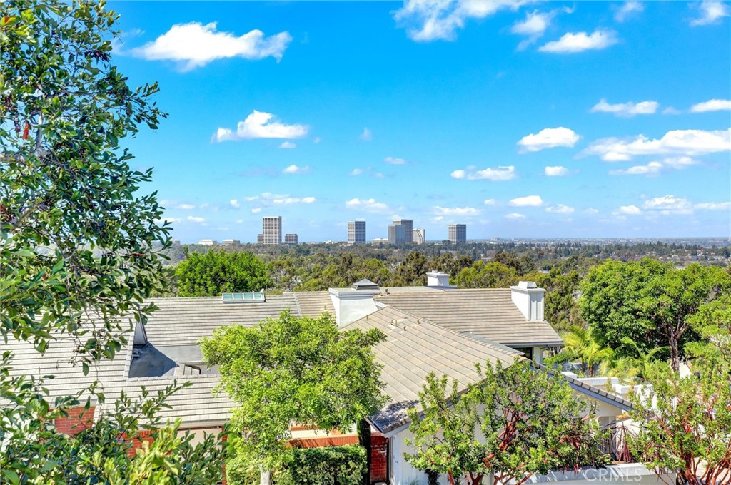 View from master - 1 Saint Tropez, Newport Beach CA 92660 - photo 39