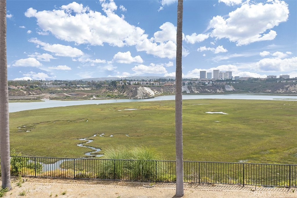 Actual Photo - 1542 Galaxy Drive, Newport Beach CA 92660 - photo 28