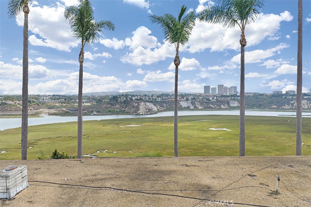 Actual Photo - 1542 Galaxy Drive, Newport Beach CA 92660 - photo 29