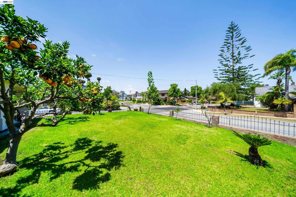 1622 Pegasus St, Newport Beach CA 92660 - photo 8