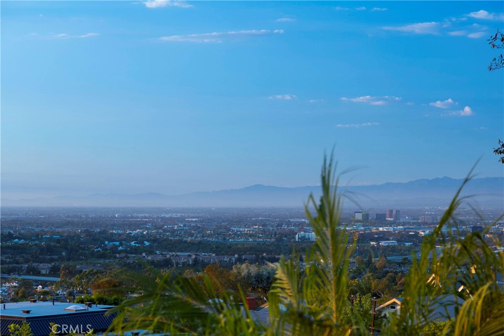 17 Harbor Ridge Drive, Newport Beach CA 92660 - photo 43