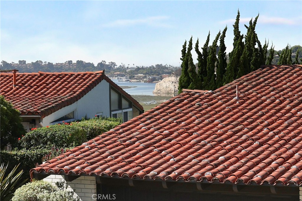 1966 Vista Caudal, Newport Beach CA 92660 - photo 32