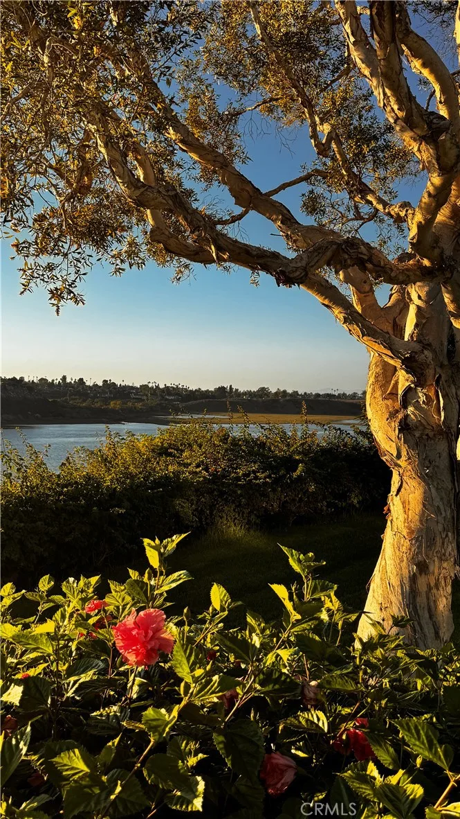 2025 Avenida Chico, Newport Beach