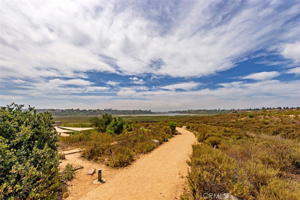2398 Redlands Drive, Newport Beach CA 92660 - photo 52