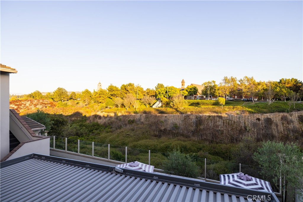 Canyon view from Primary - 26 Peppertree, Newport Beach CA 92660 - photo 21