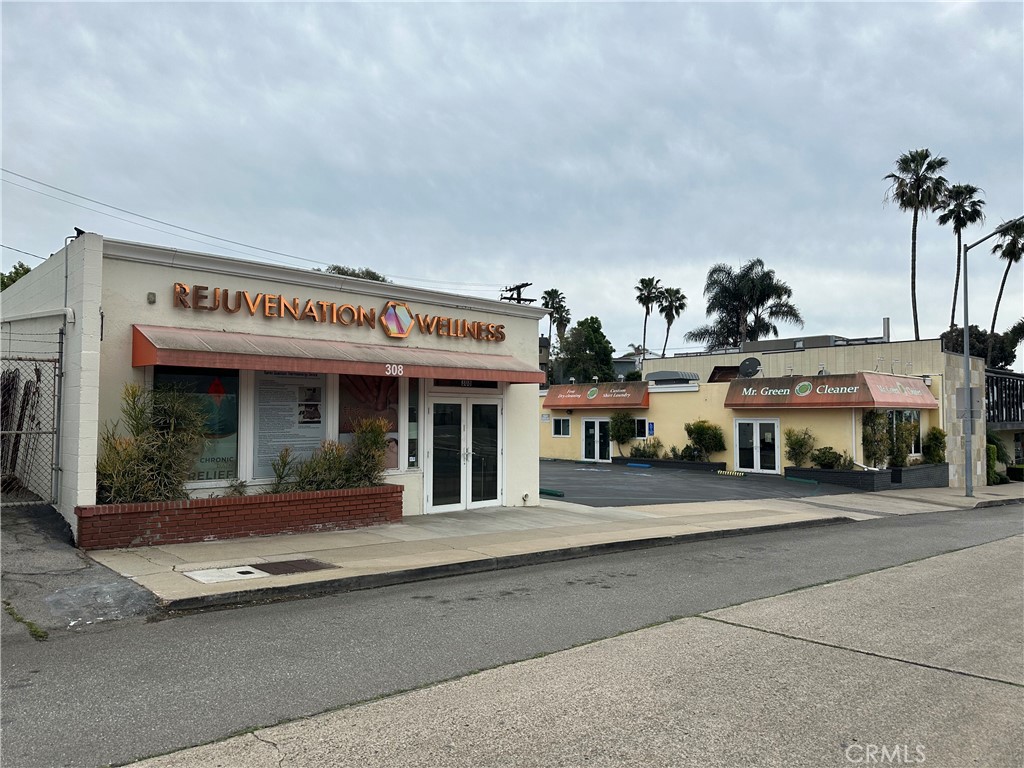 306 Old Newport, Newport Beach CA 92663 - photo 10