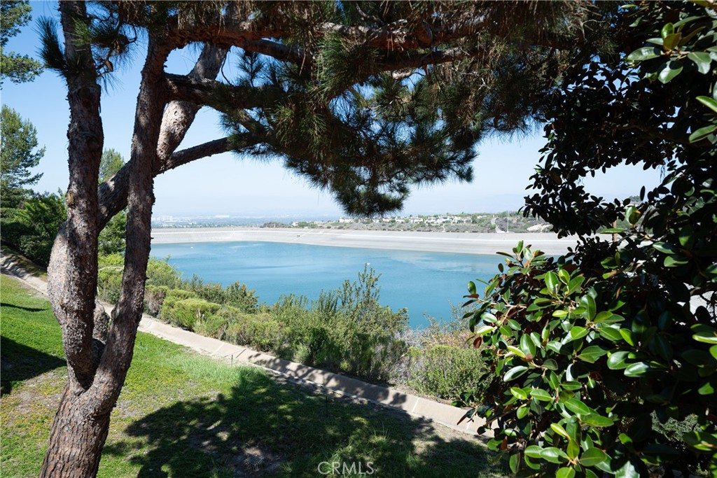 Reservoir View: Another perspective captures the broad water view through mature trees and greenery, showcasing the home - 36 Vienna, Newport Beach CA 92660 - photo 14