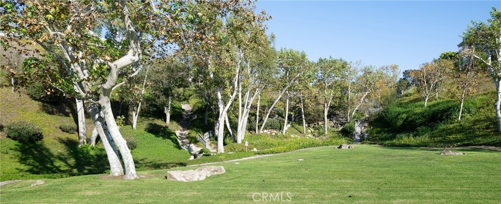Community Greenbelt: Landscaped community greenbelt features an open lawn, mature trees, and pathways winding through th - 36 Vienna, Newport Beach CA 92660 - photo 42