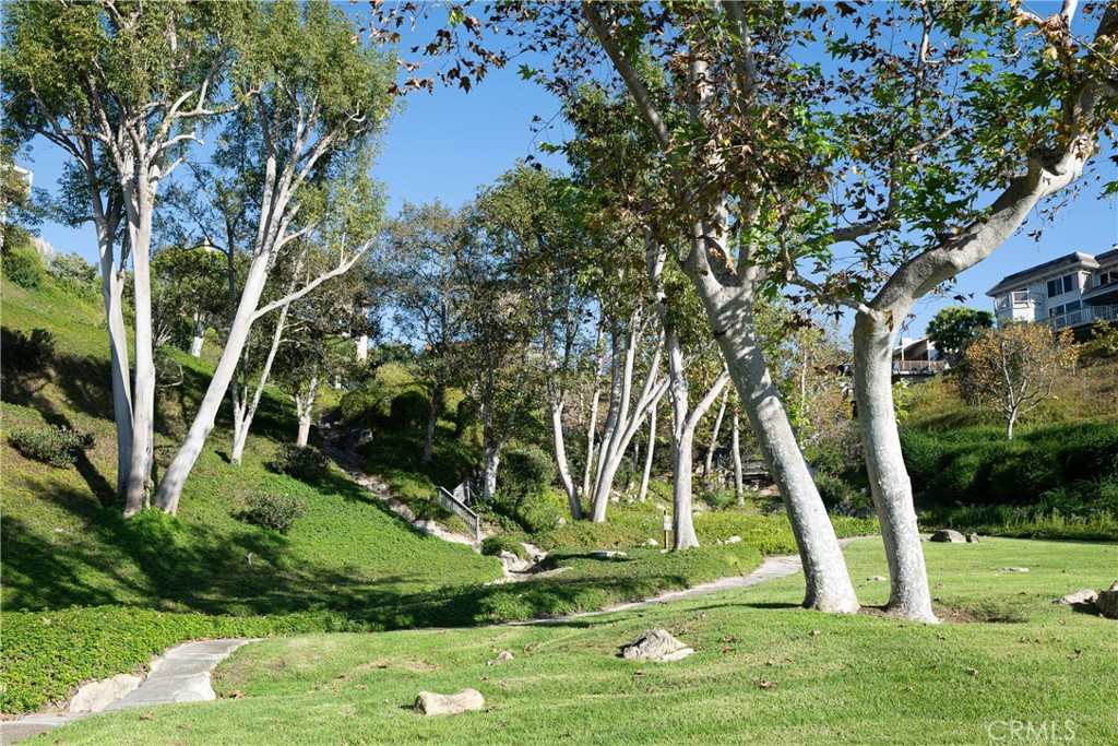 Community Grounds: Another view of the lush community grounds highlights mature shade trees, maintained landscaping, and - 36 Vienna, Newport Beach CA 92660 - photo 43