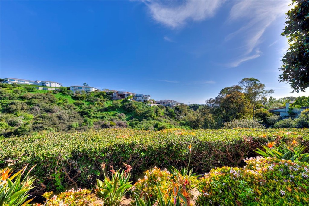 THE TERRACES COMMON AREA VIEW - 3741 Geranium, Corona Del Mar CA 92625 - photo 43