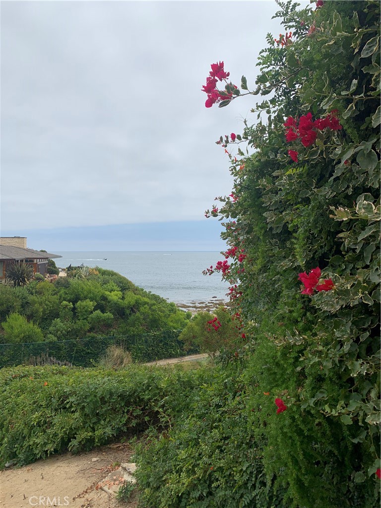 429 Morning Canyon, Newport Beach CA 92625 - photo 52