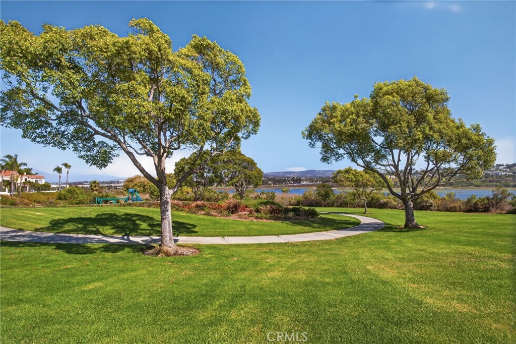 45 Shearwater Place, Newport Beach CA 92660 - photo 50