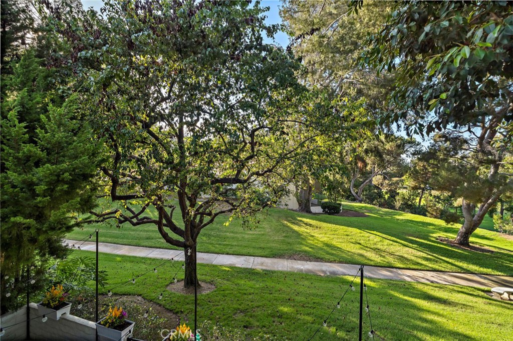 All the mature trees and walking trials and the park is just outside your patio. - 526 Vista Grande, Newport Beach CA 92660 - photo 21