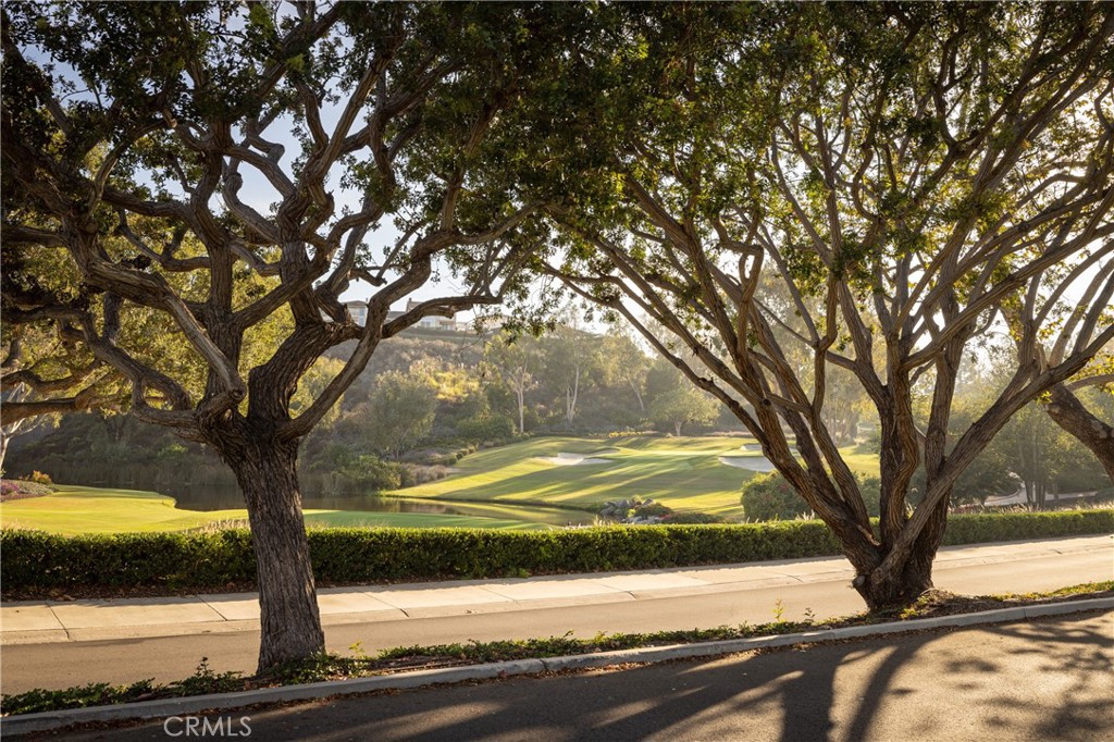 56 Royal Saint George Road, Newport Beach CA 92660 - photo 47
