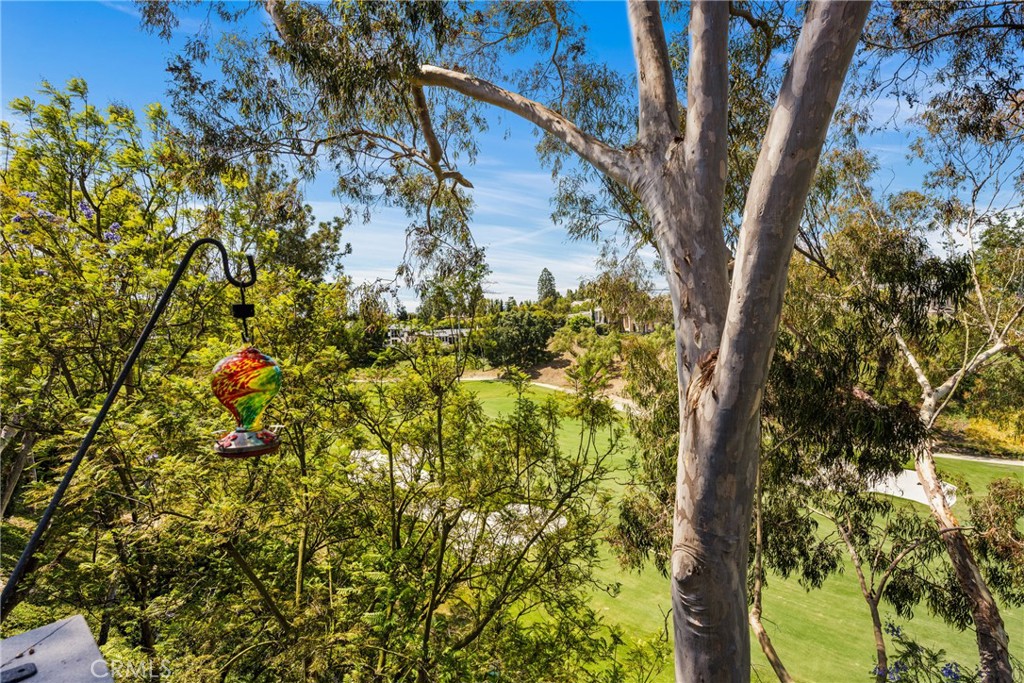 9 Canyon Island Drive, Newport Beach CA 92660 - photo 7