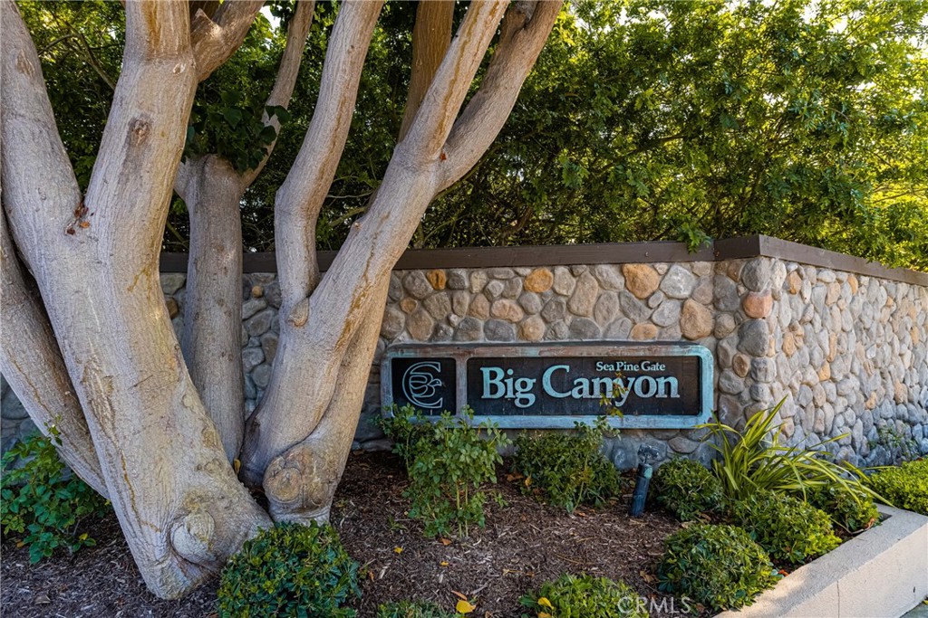 9 Canyon Island Drive, Newport Beach CA 92660 - photo 26