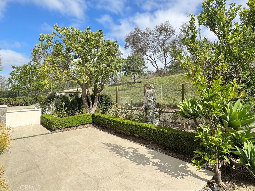 1 Alessandria, Newport Coast CA 92657 - photo 34