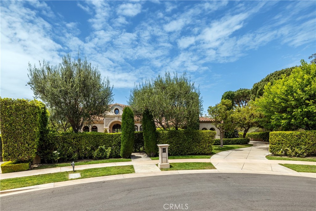 1 Rim Ridge, Newport Coast CA 92657 - photo 22