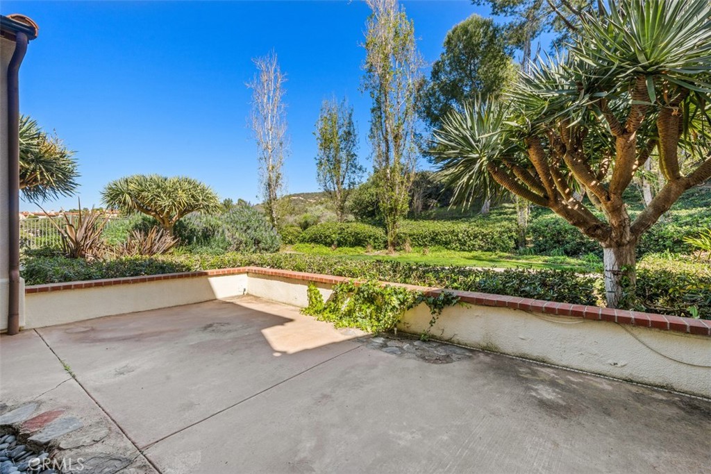 Patio - 11 Sorrento Court, Newport Coast CA 92657 - photo 23