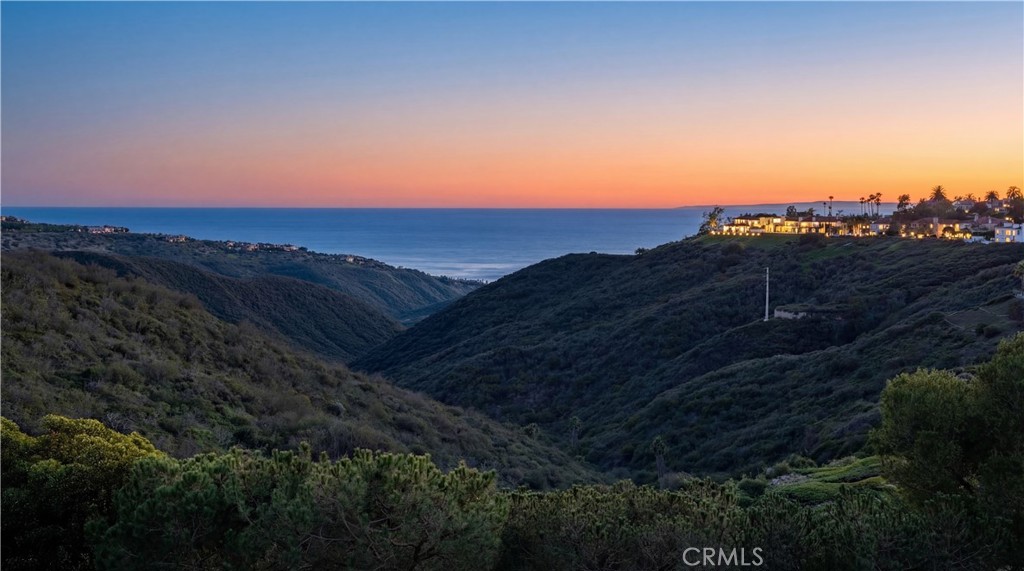 Twilight Ocean & Canyon Views - 12 Mattina, Newport Coast CA 92657 - photo 1