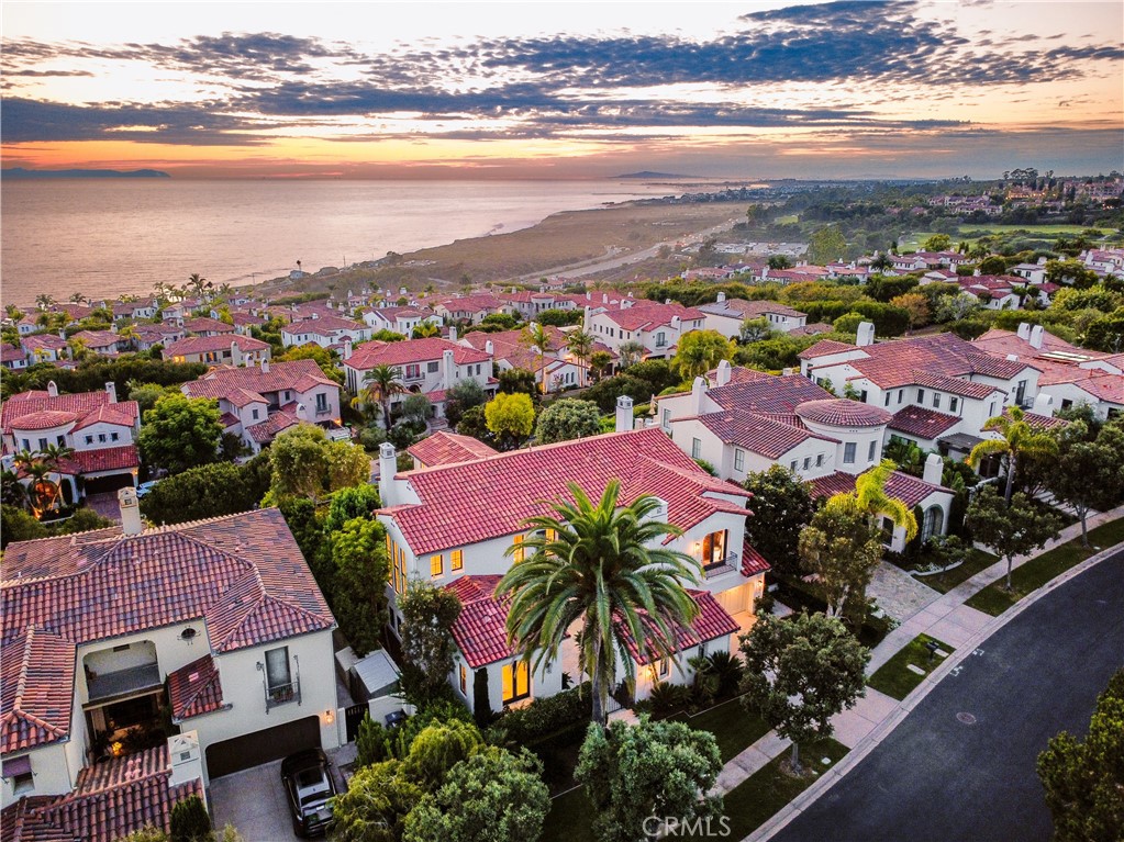 12 Tasman Sea, Newport Coast CA 92657 - photo 61