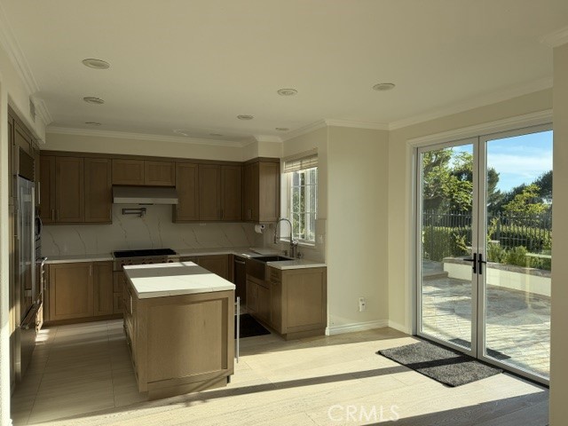 14 Anacapri, Newport Coast CA 92657 - photo 6