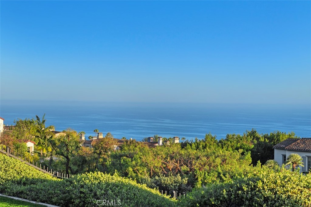 14 Rockshore, Newport Coast CA 92657 - photo 59