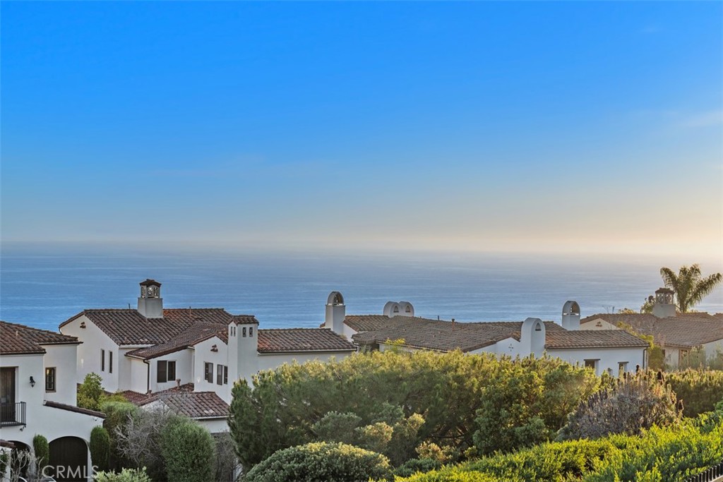 14 Rockshore, Newport Coast CA 92657 - photo 60