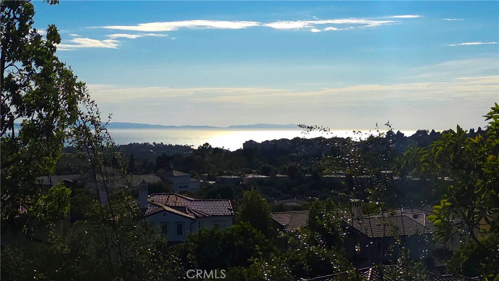 15 Marisol, Newport Coast CA 92657 - photo 43