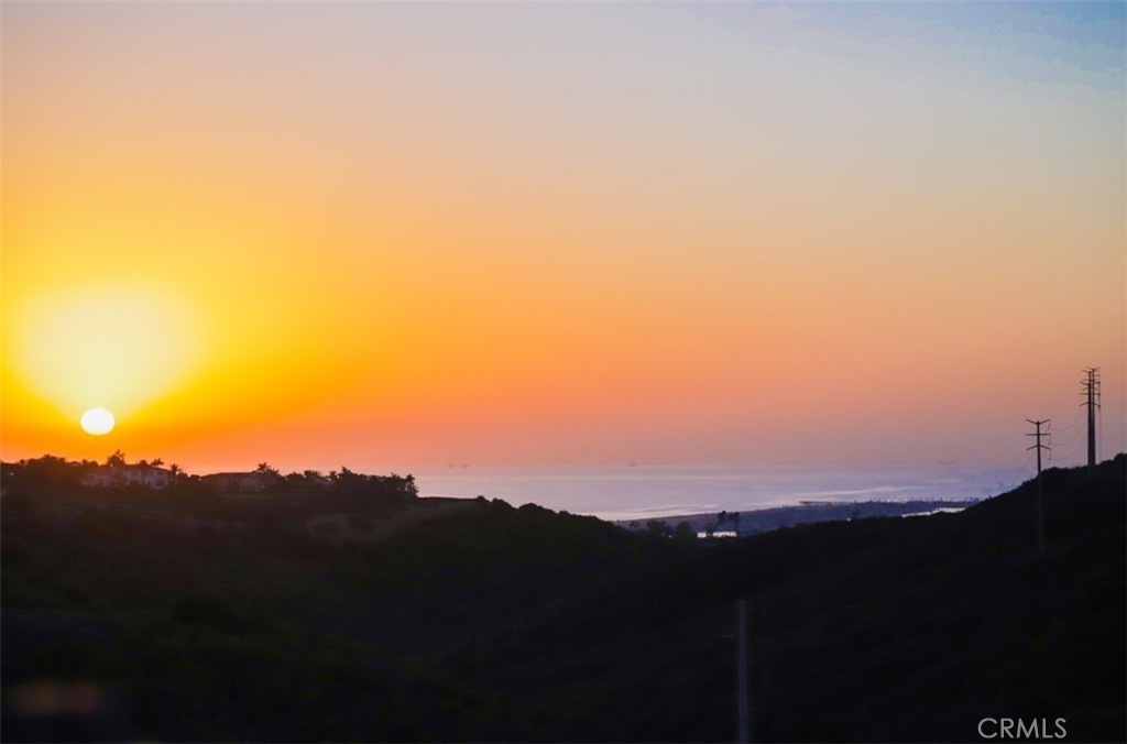 16 Sugar Pine, Newport Coast CA 92657 - photo 2