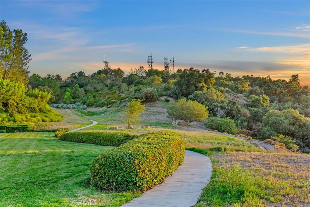 Trails and Parks - 16 Talmont, Newport Coast CA 92657 - photo 33