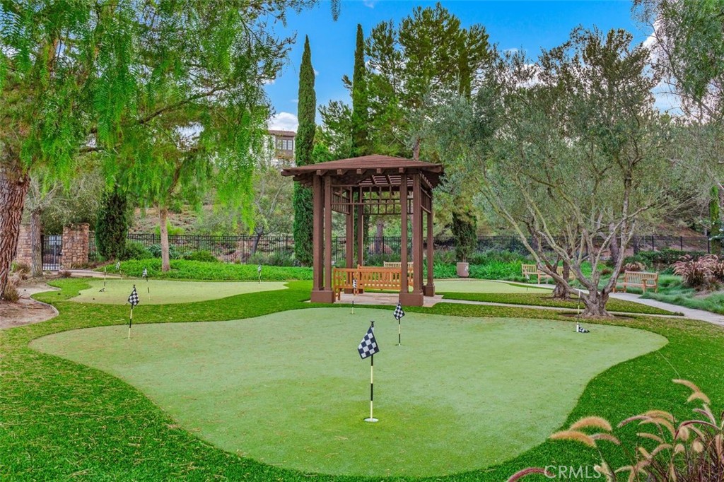 Putting Green - 16 Talmont, Newport Coast CA 92657 - photo 35