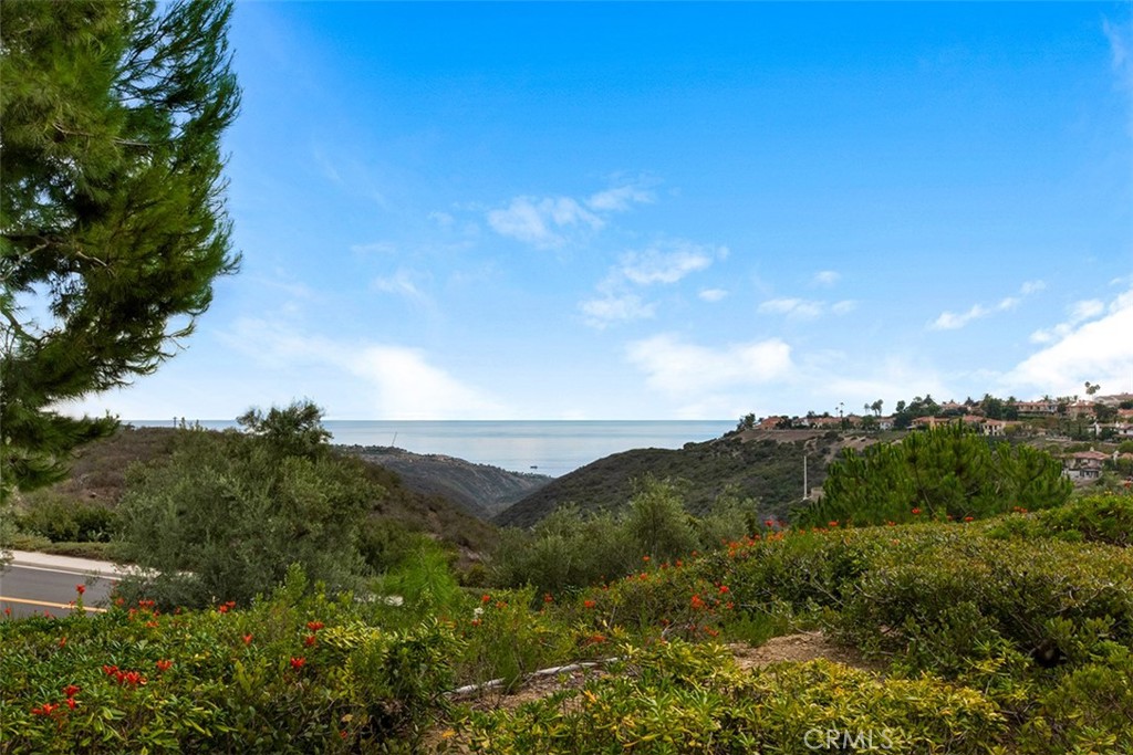 18 Mattina Drive, Newport Coast CA 92657 - photo 1