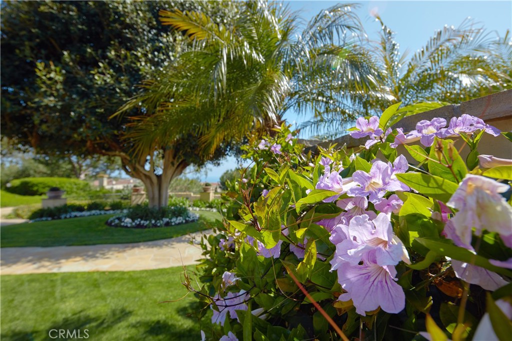 20 Channel Vista, Newport Coast CA 92657 - photo 7