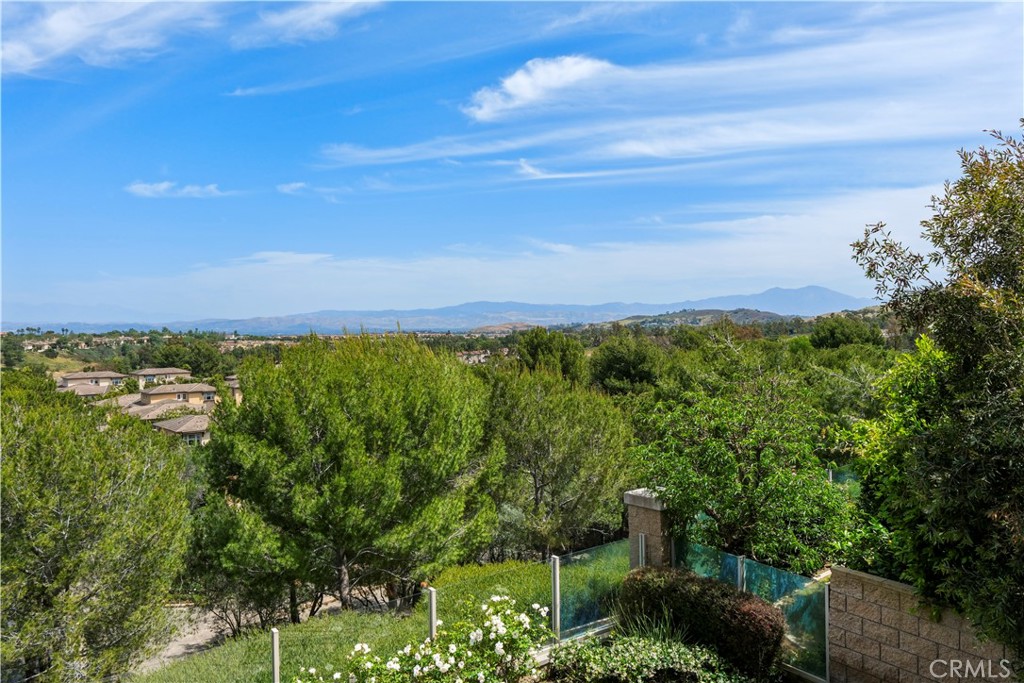 21 Fayence, Newport Coast CA 92657 - photo 29
