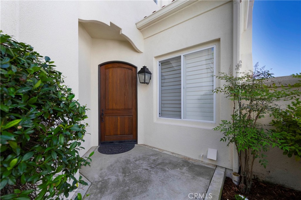 Private entry - 21 Pavona, Newport Coast CA 92657 - photo 5