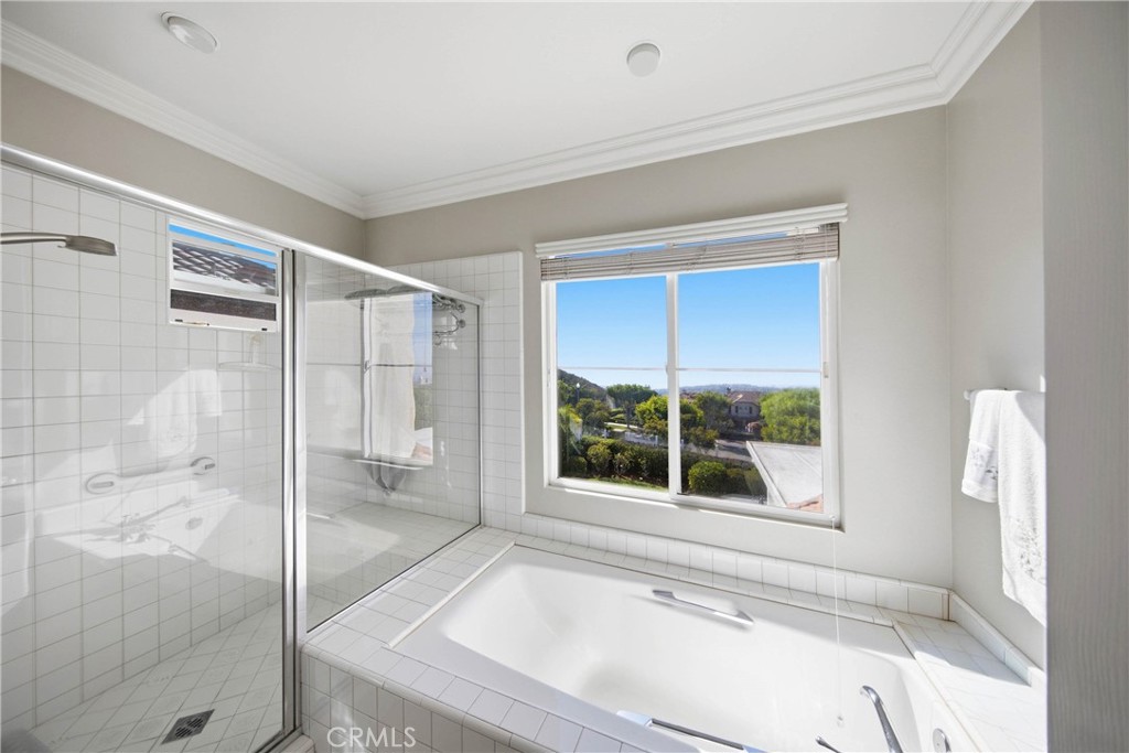 Tub Views - 21 Pavona, Newport Coast CA 92657 - photo 29