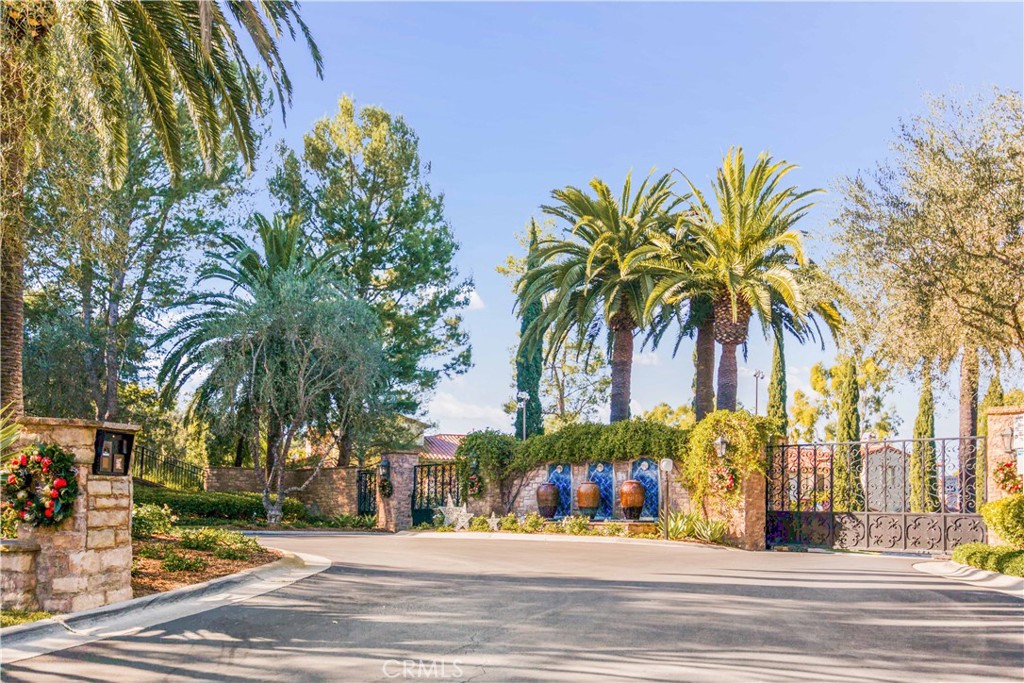 23 Altino, Newport Coast CA 92657 - photo 41