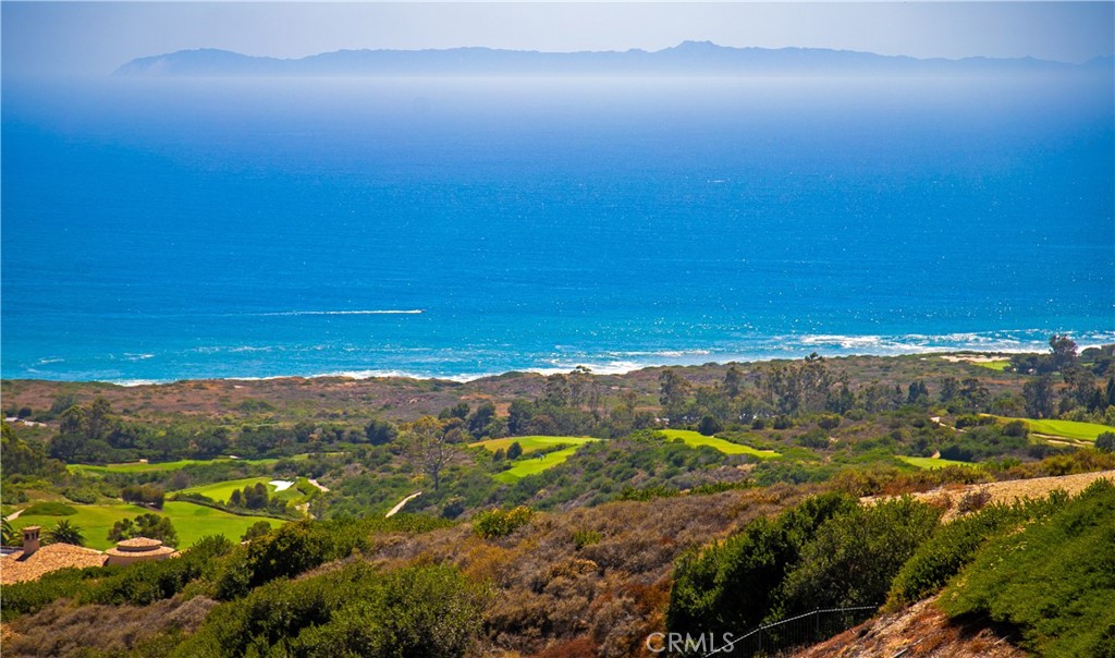23 Pelican Vista Dr, Newport Coast CA 92657 - photo 30