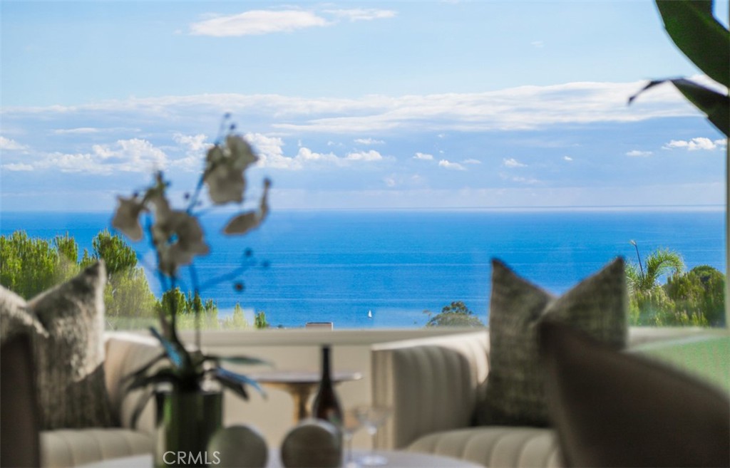 26 Coral Reef, Newport Coast CA 92657 - photo 3
