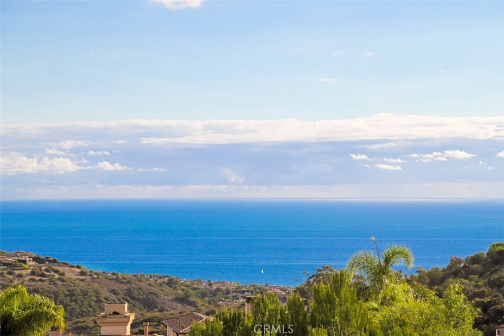 26 Coral Reef, Newport Coast CA 92657 - photo 4