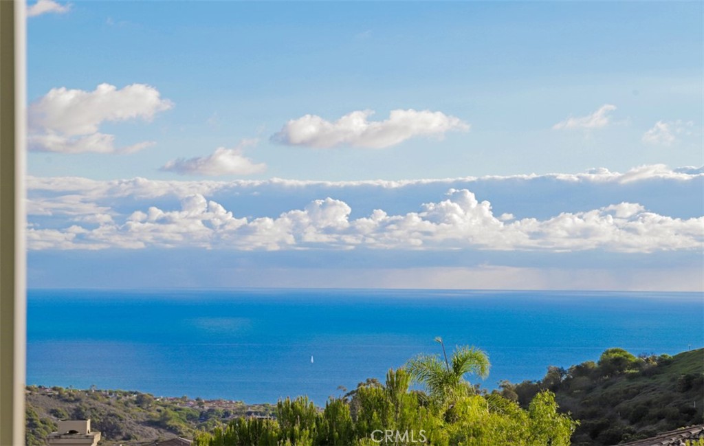 26 Coral Reef, Newport Coast CA 92657 - photo 18