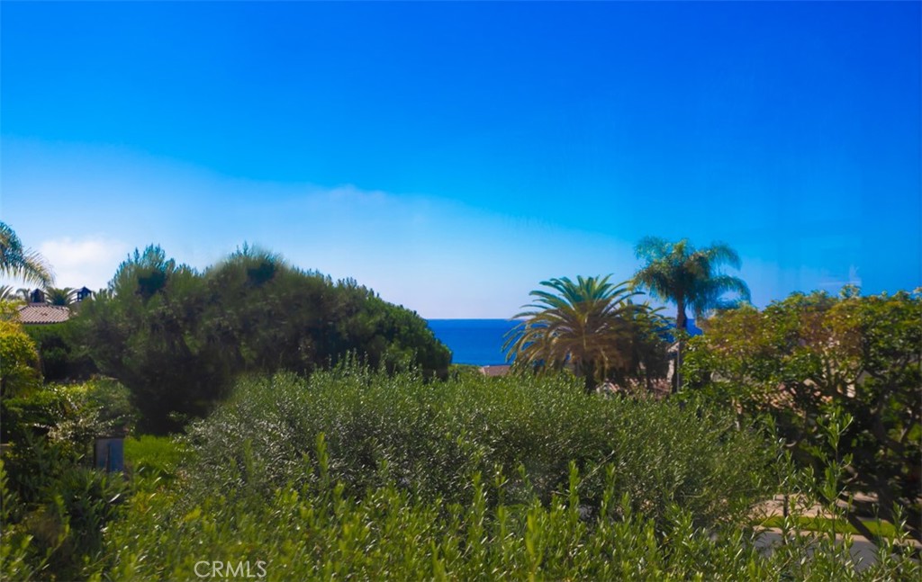26 Sidney Bay Drive, Newport Coast CA 92657 - photo 36