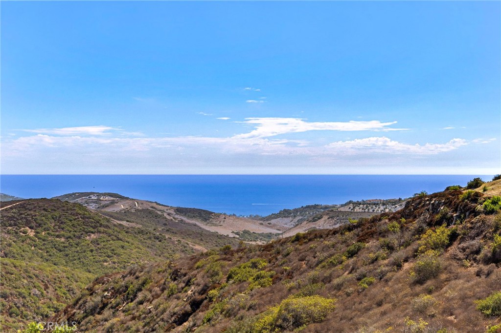 27 Pacific Mist, Newport Coast CA 92657 - photo 4