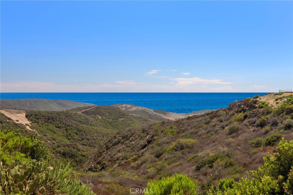 27 Pacific Mist, Newport Coast CA 92657 - photo 31